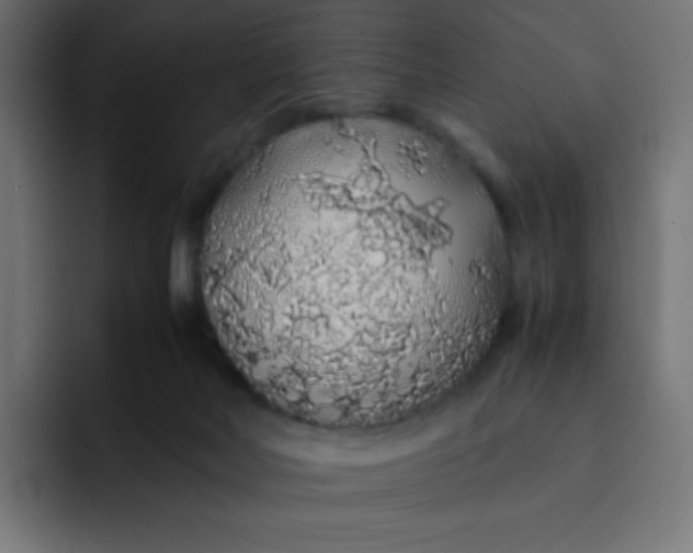 X0000092060026200710031108