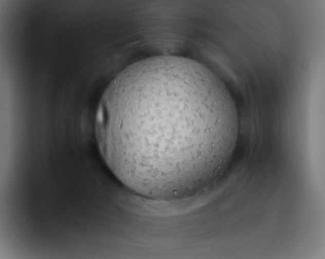 X0000092060030200710031108