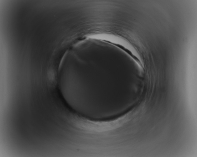 X0000092060031200710031108