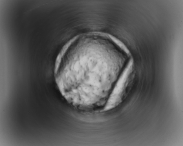 X0000092060032200710031108