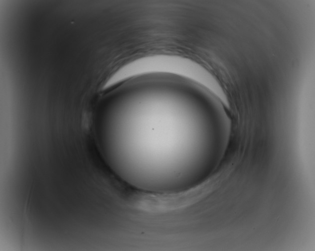 X0000092060033200710031108