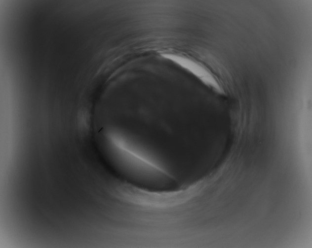 X0000092060035200710031108