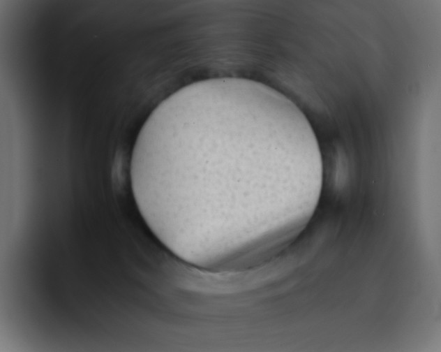 X0000092060038200710031108