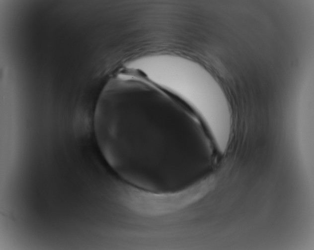 X0000092060039200710031108