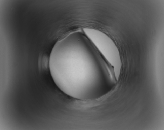 X0000092060041200710031108