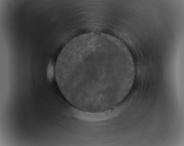 X0000092060042200710031108