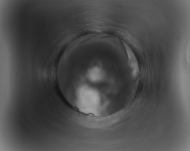 X0000092060043200710031108