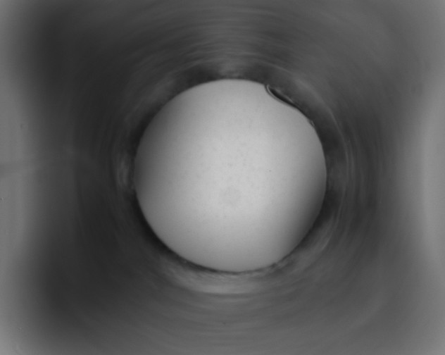 X0000092060044200710031108