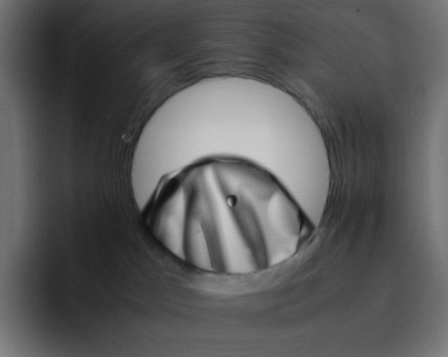 X0000092060045200710031108