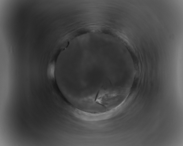 X0000092060047200710031108