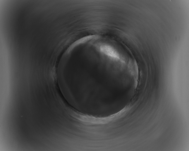 X0000092060048200710031108