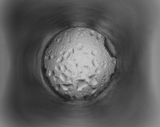 X0000092060049200710031108