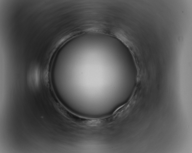 X0000092060050200710031108