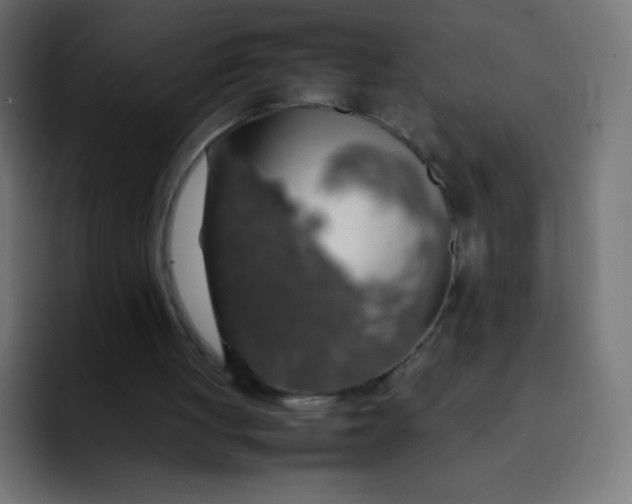 X0000092060051200710031108