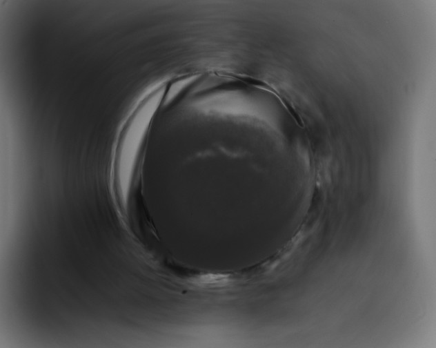 X0000092060052200710031108