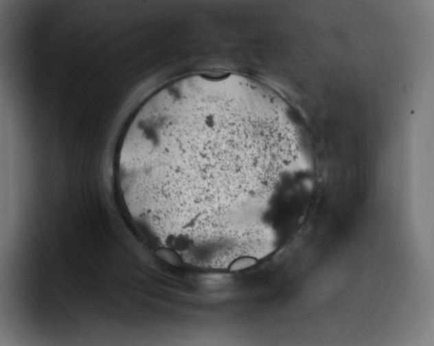 X0000092060053200710031108