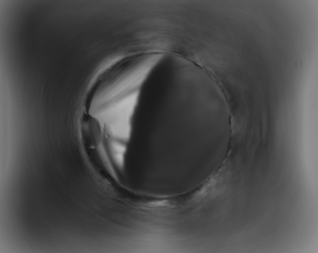 X0000092060054200710031108