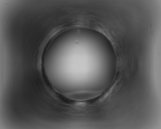 X0000092060055200710031108