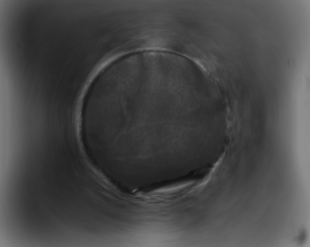 X0000092060056200710031108