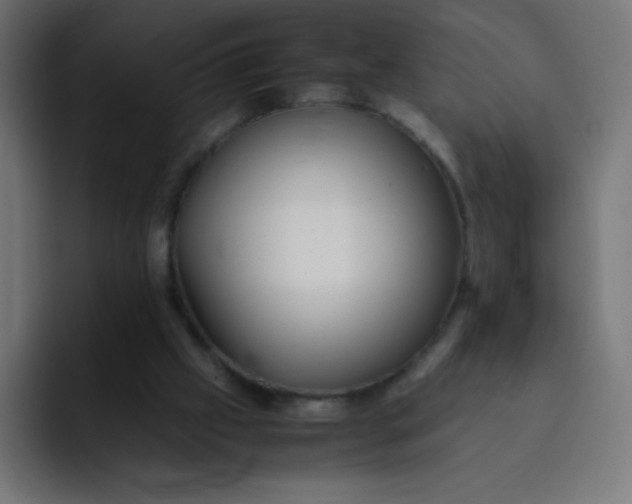 X0000092060057200710031108