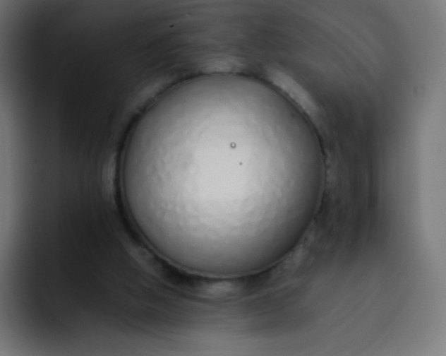 X0000092060058200710031108