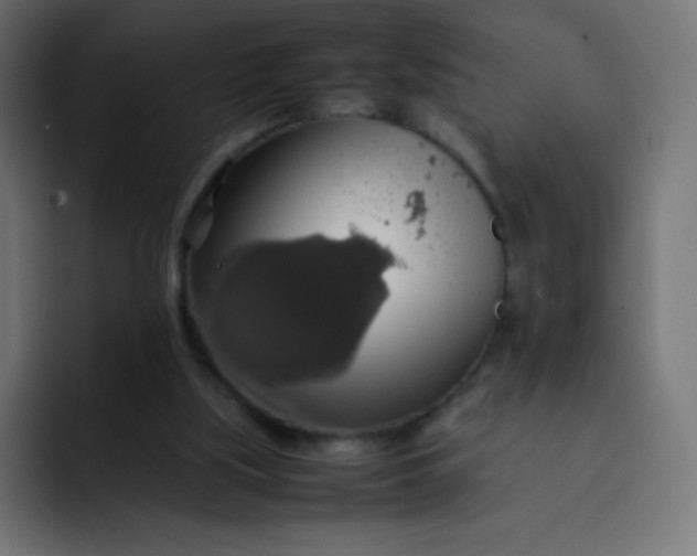 X0000092060059200710031108