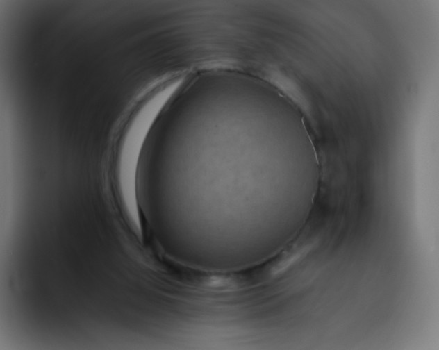 X0000092060060200710031108