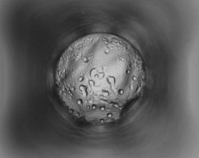 X0000092060061200710031108