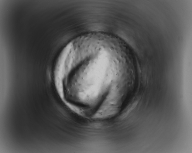 X0000092060062200710031108