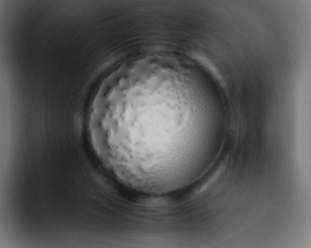 X0000092060063200710031108