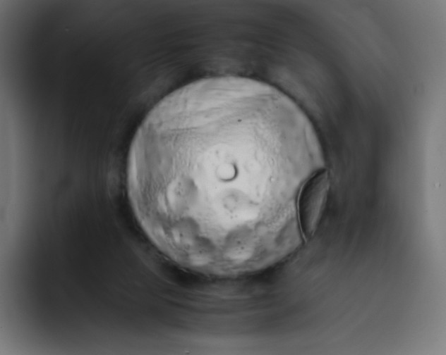 X0000092060065200710031108