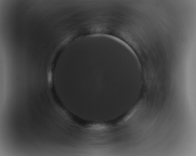 X0000092060067200710031108