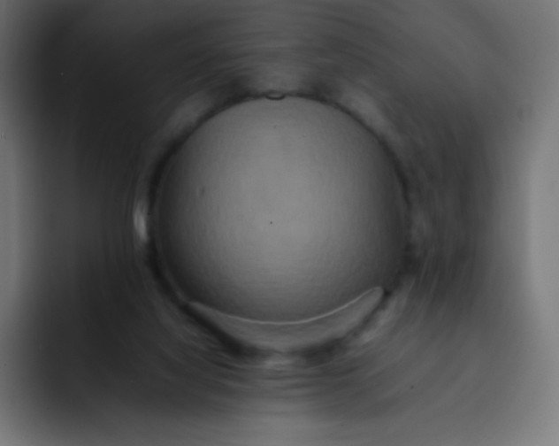 X0000092060068200710031108