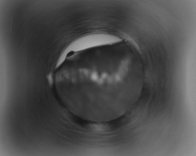 X0000092060069200710031108