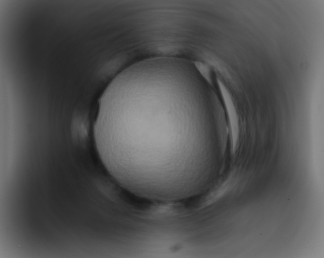 X0000092060072200710031108