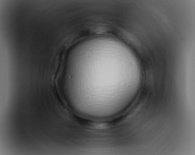 X0000092060073200710031108