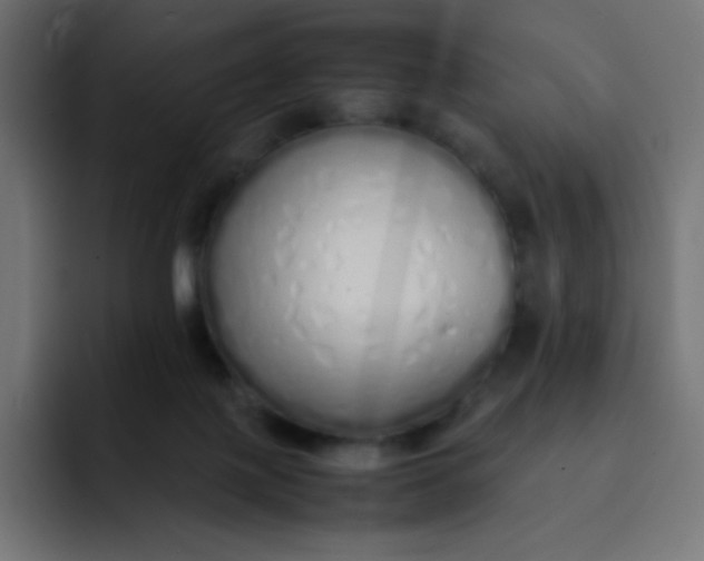 X0000092060075200710031108