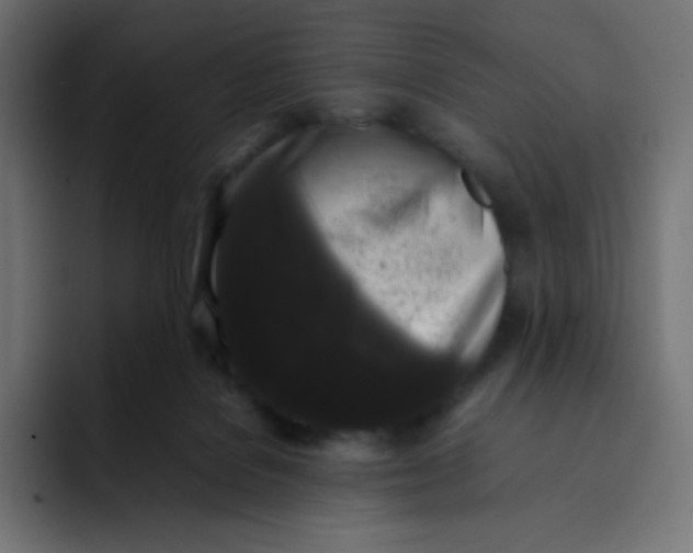 X0000092060076200710031108