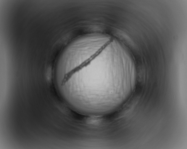 X0000092060077200710031108