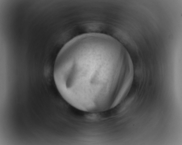 X0000092060079200710031108