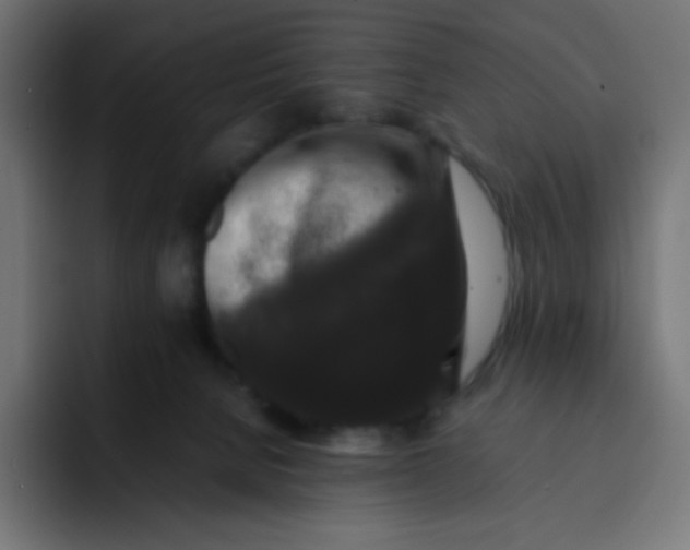 X0000092060080200710031108