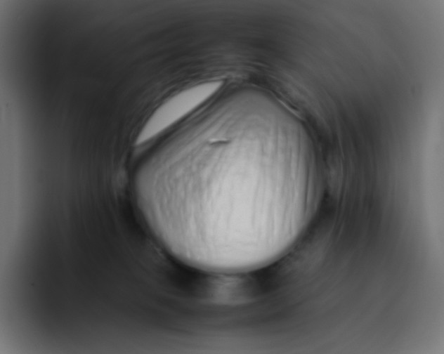 X0000092060085200710031108