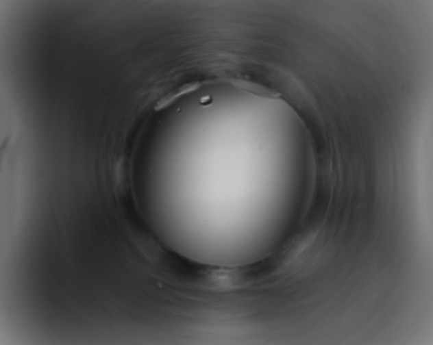 X0000092060088200710031108