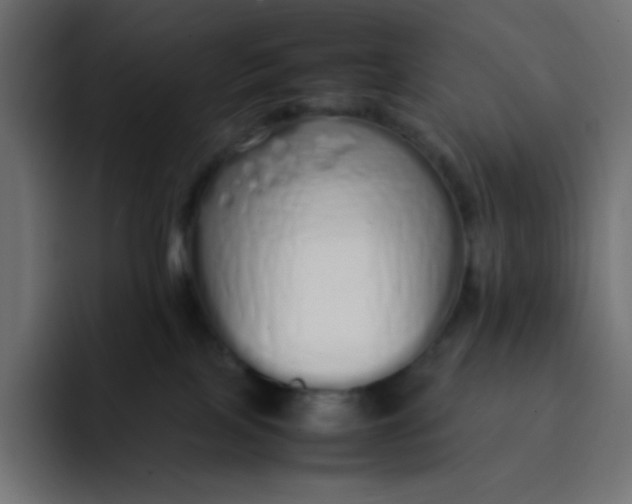 X0000092060089200710031108