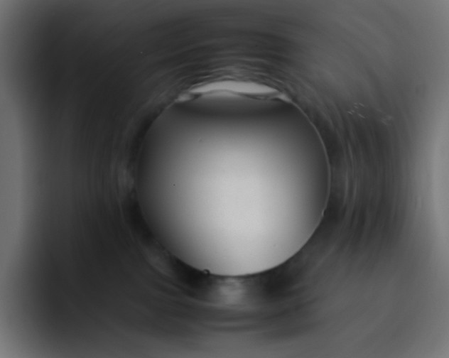 X0000092060091200710031108