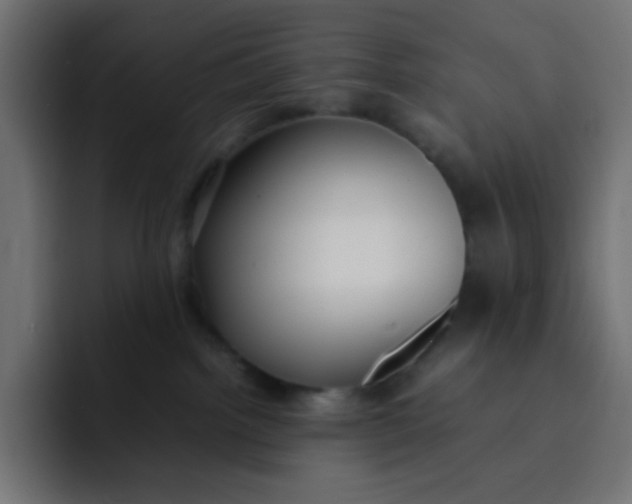 X0000092060092200710031108