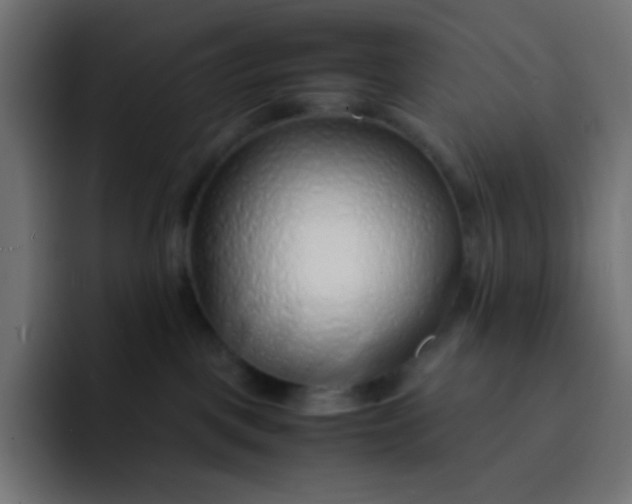 X0000092060093200710031108