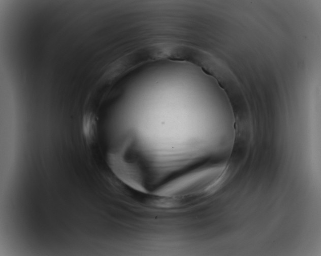 X0000092060094200710031108