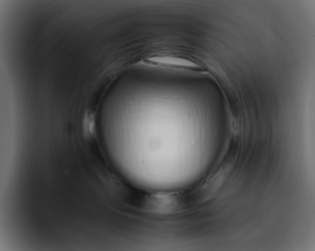 X0000092060095200710031108