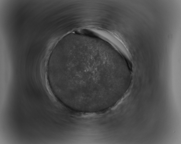 X0000092060097200710031108